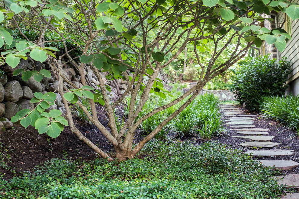 Inspiration pour un jardin arrière design de taille moyenne et l'hiver avec une exposition ombragée et des pavés en pierre naturelle.
