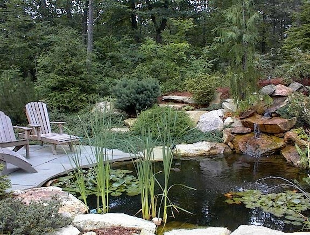 Design ideas for a medium sized contemporary back full sun garden in Boston with a pond and natural stone paving.