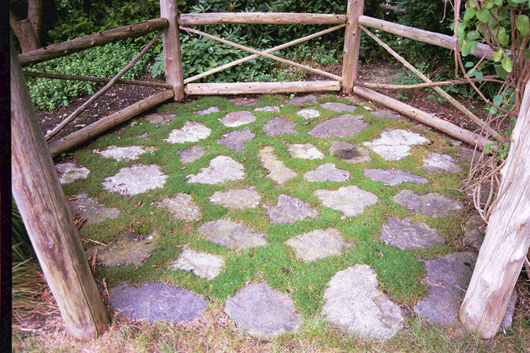 Réalisation d'un jardin chalet avec une exposition ombragée et des pavés en pierre naturelle.