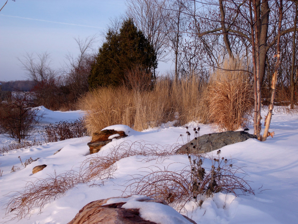 Inspiration för stora rustika bakgårdar i full sol på vinteren