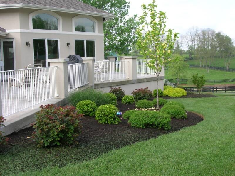 Стильный дизайн: участок и сад среднего размера на заднем дворе с полуденной тенью и покрытием из каменной брусчатки - последний тренд
