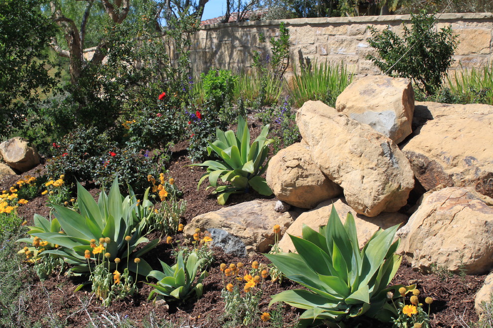 Inspiration for a contemporary landscaping in Orange County.