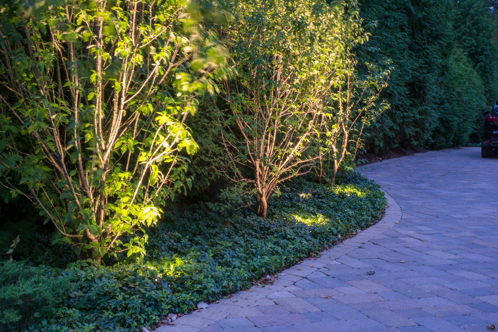 Esempio di un grande giardino formale classico esposto a mezz'ombra davanti casa con un ingresso o sentiero e pavimentazioni in pietra naturale
