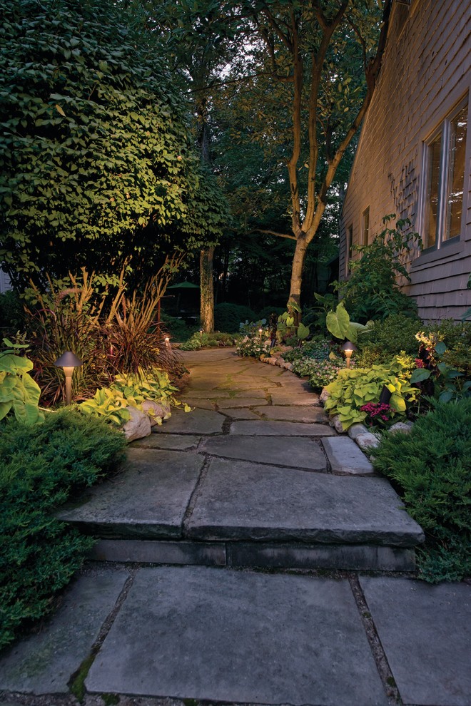 Immagine di un piccolo giardino in ombra nel cortile laterale con un ingresso o sentiero e pavimentazioni in pietra naturale