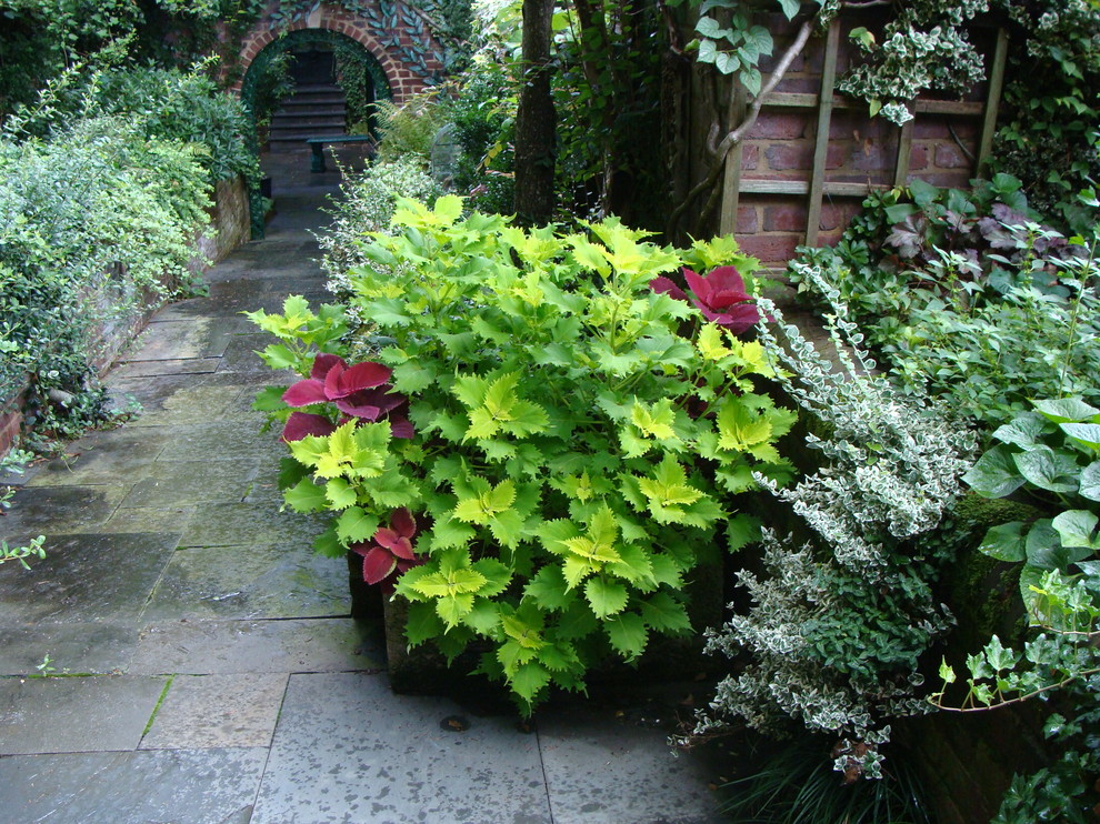 Cette image montre un petit jardin en pots arrière traditionnel l'été avec une exposition ombragée et des pavés en pierre naturelle.