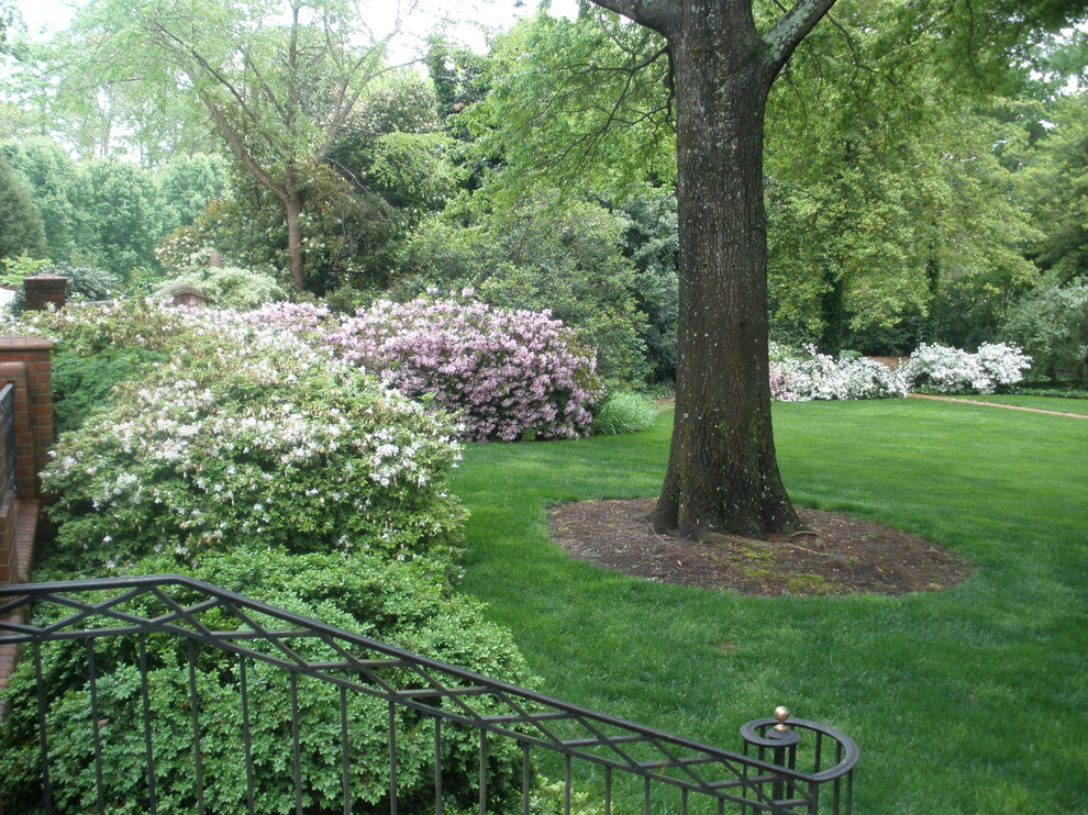 Cette image montre un très grand jardin avant traditionnel au printemps avec une exposition partiellement ombragée.
