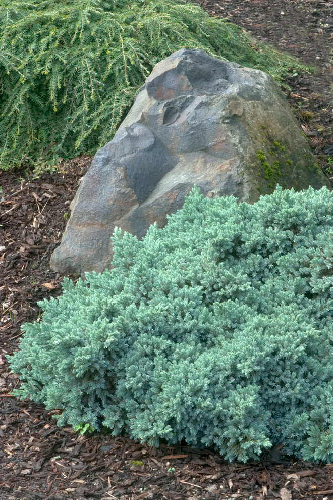 Photo of a landscaping in Other.