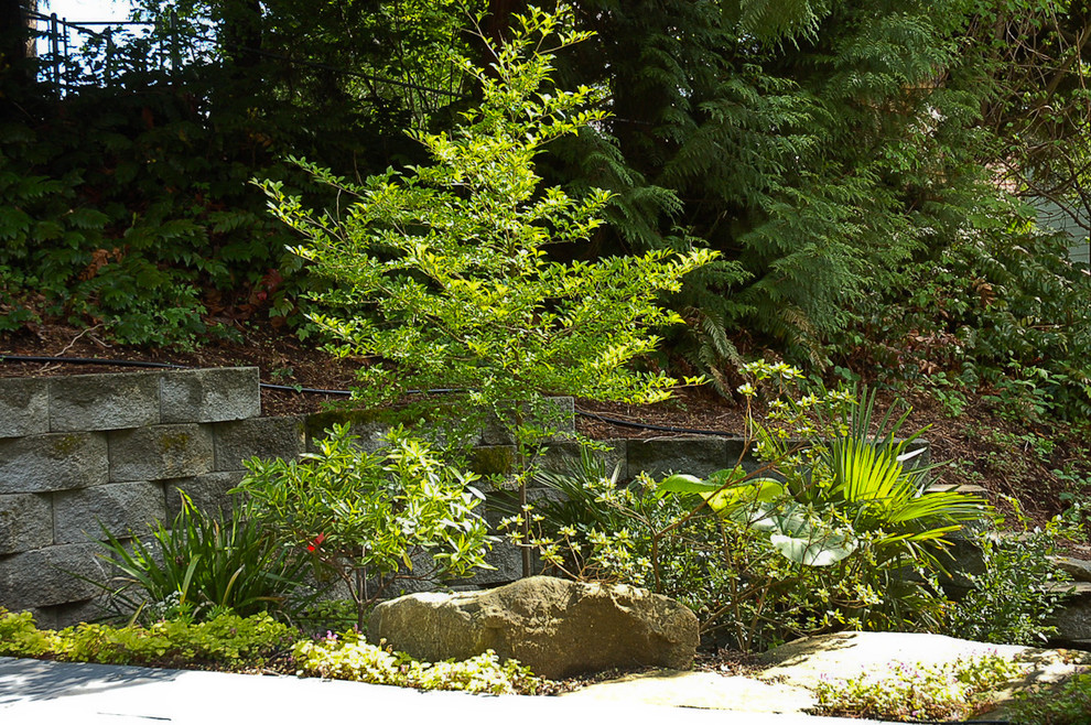 Пример оригинального дизайна: участок и сад в стиле фьюжн