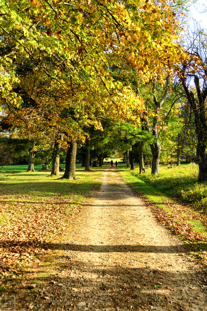 Landscape photography Portfolio Landscape New York by lensi