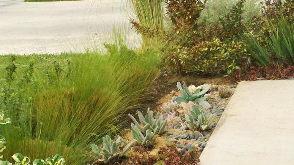 Inspiration for a mediterranean landscaping in Orange County.