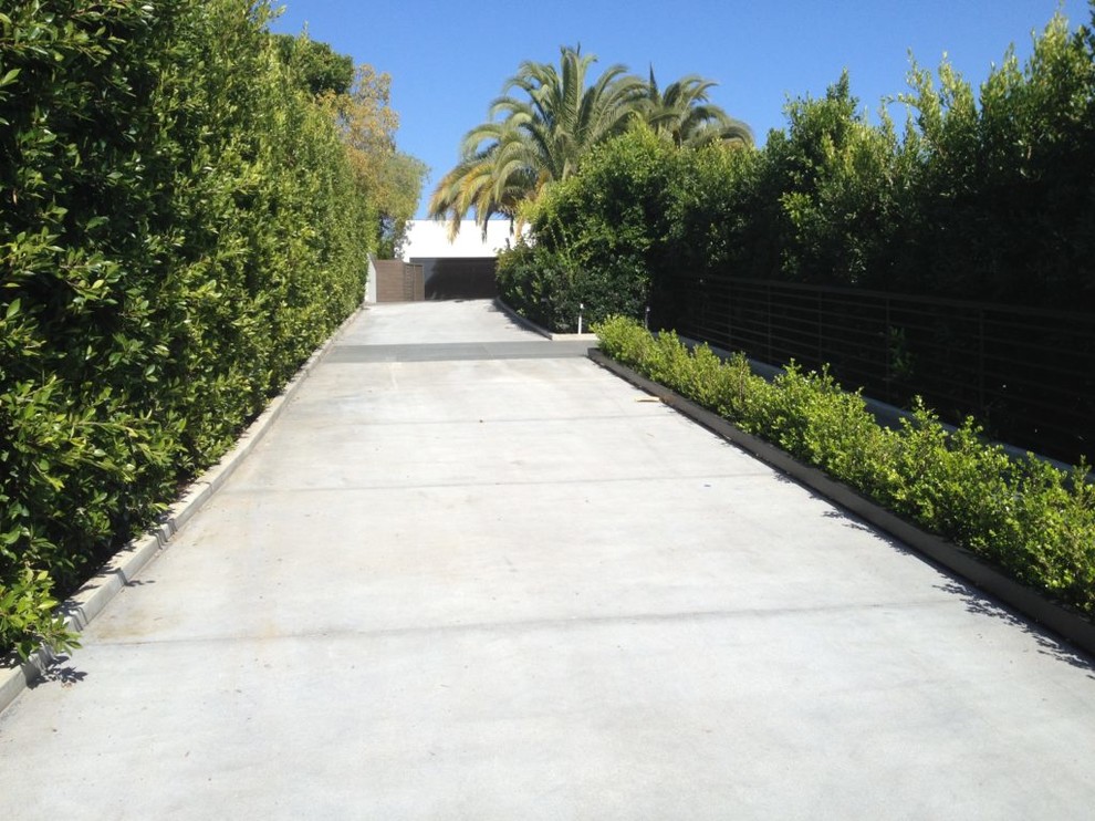 Foto di un vialetto d'ingresso minimalista esposto a mezz'ombra di medie dimensioni e davanti casa con pavimentazioni in cemento