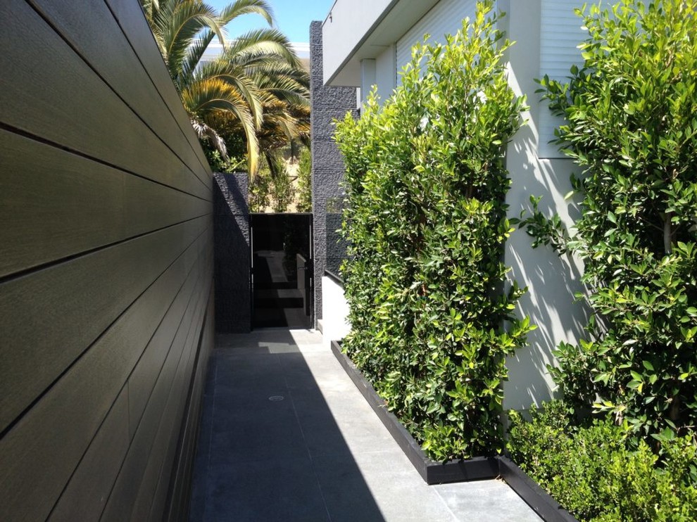 Ispirazione per un giardino formale moderno esposto a mezz'ombra di medie dimensioni e davanti casa con pavimentazioni in cemento
