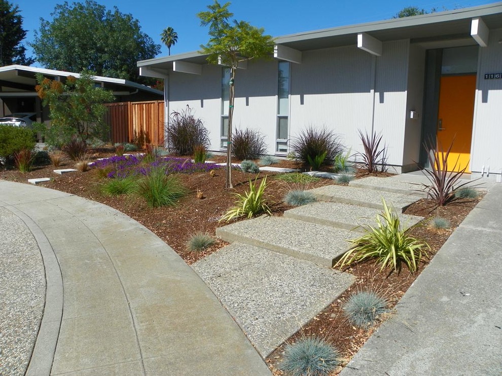 Medium sized midcentury front xeriscape full sun garden in San Francisco with concrete paving.
