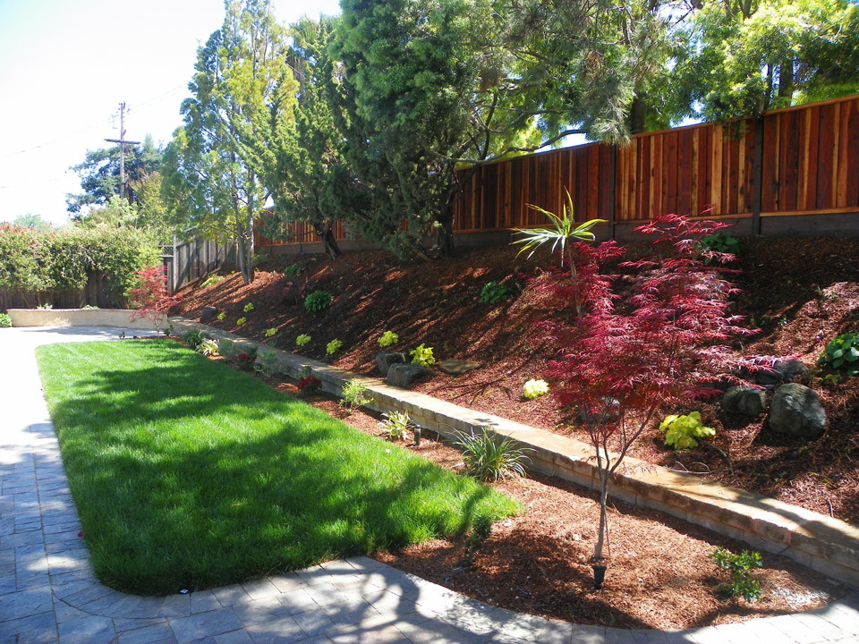 Medium sized traditional sloped partial sun garden in San Francisco with a retaining wall and concrete paving.