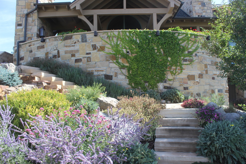 Geometrischer Klassischer Garten im Frühling, hinter dem Haus mit direkter Sonneneinstrahlung und Betonboden in Denver