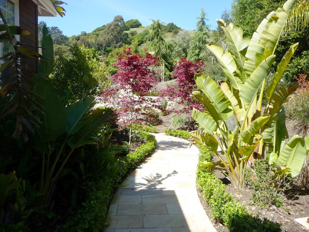 Foto di un giardino tropicale esposto a mezz'ombra di medie dimensioni e nel cortile laterale in estate con un ingresso o sentiero e pavimentazioni in pietra naturale