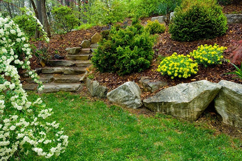 Foto di un giardino formale chic esposto in pieno sole di medie dimensioni e in cortile con un ingresso o sentiero e pavimentazioni in pietra naturale