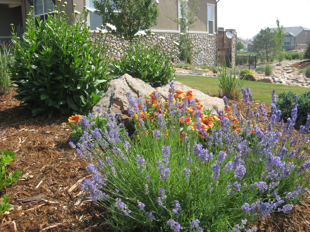 Photo of a traditional landscaping in Denver.