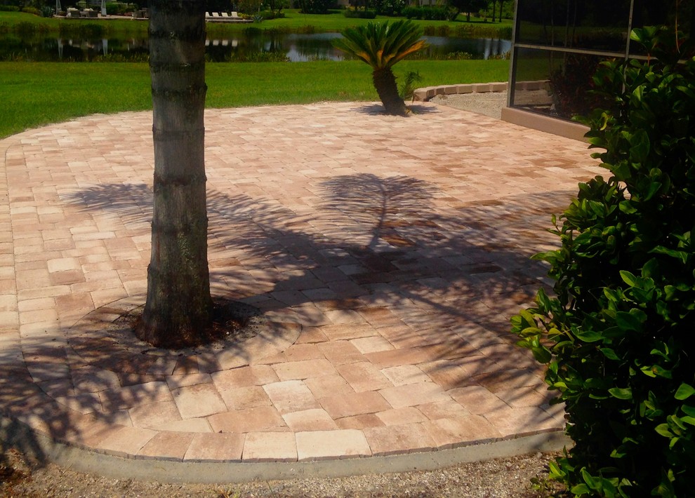 Photo of a small world-inspired back xeriscape full sun garden in Tampa with a retaining wall and concrete paving.