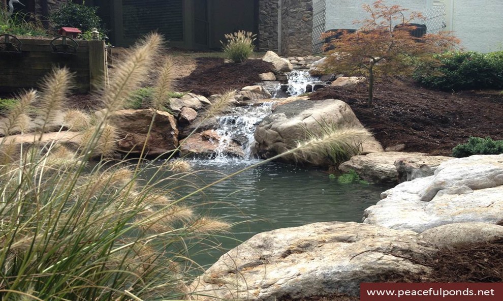 landscape transformations Modern Landscape Charlotte by