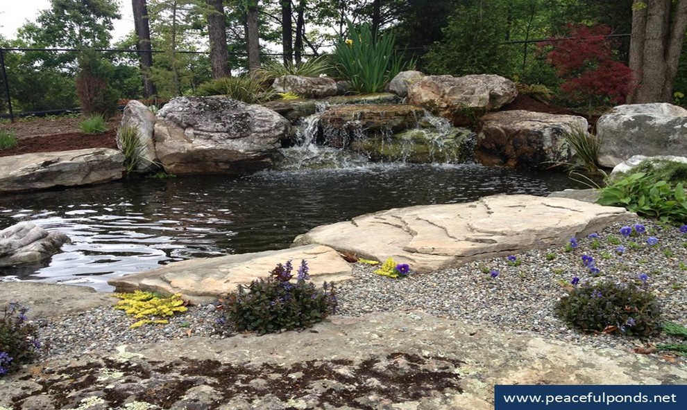 landscape transformations Beach Style Landscape Charlotte by