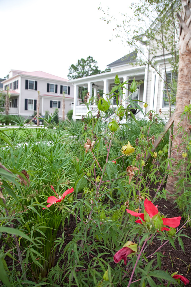 Inspiration for a contemporary full sun front yard landscaping in Charleston.