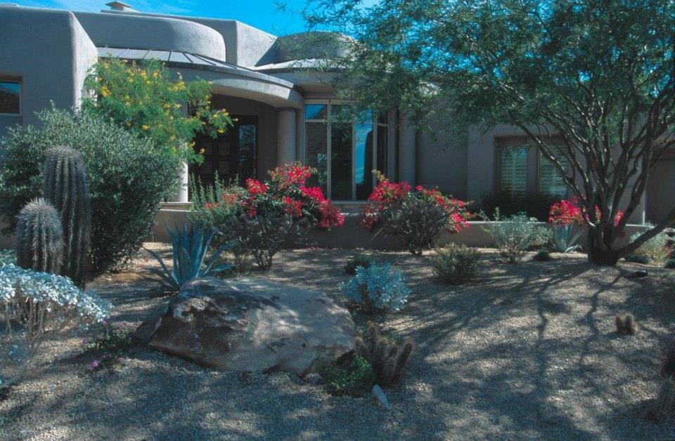 Ispirazione per un giardino xeriscape minimalista esposto a mezz'ombra di medie dimensioni e dietro casa con pavimentazioni in cemento