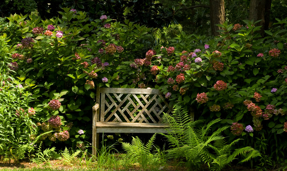 リッチモンドにあるトラディショナルスタイルのおしゃれな裏庭 (日陰) の写真