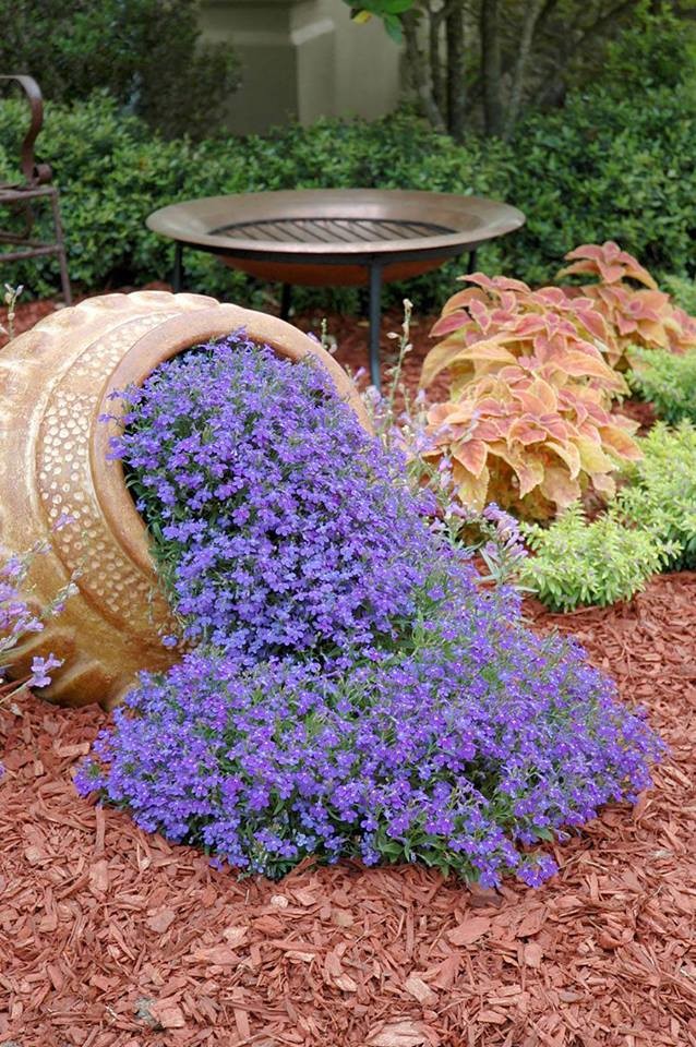 Photo of a small traditional back partial sun garden in Austin with mulch.