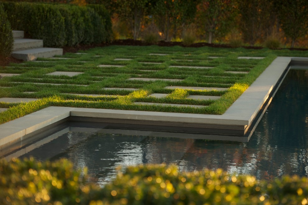 Réalisation d'un jardin arrière minimaliste de taille moyenne avec une exposition ensoleillée et des pavés en pierre naturelle.
