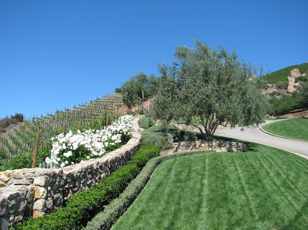 This is an example of an expansive mediterranean sloped full sun garden for summer in Los Angeles with a garden path and natural stone paving.