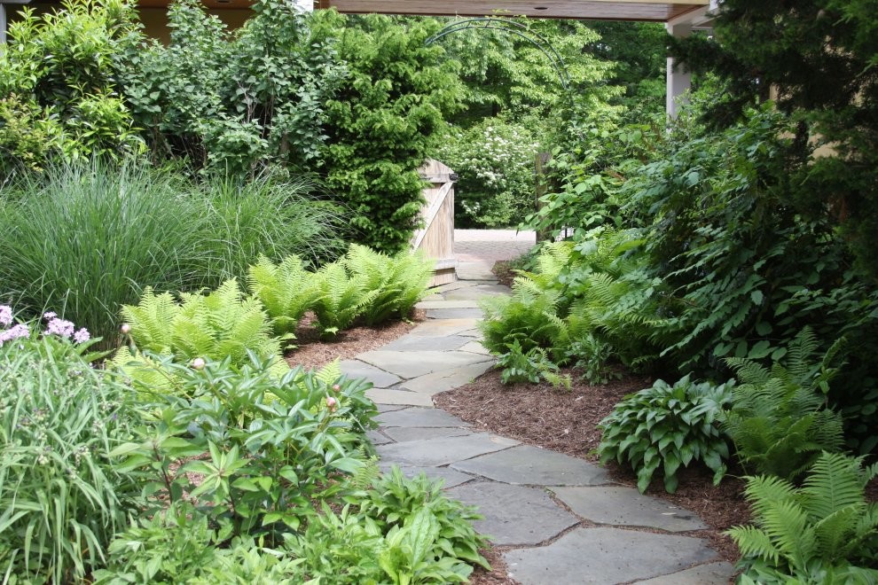 ワシントンD.C.にあるトラディショナルスタイルのおしゃれな裏庭 (日陰) の写真
