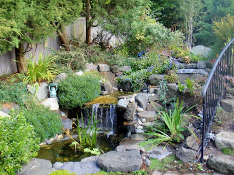 Idéer för att renovera en mellanstor orientalisk trädgård i full sol på hösten, med en damm och naturstensplattor