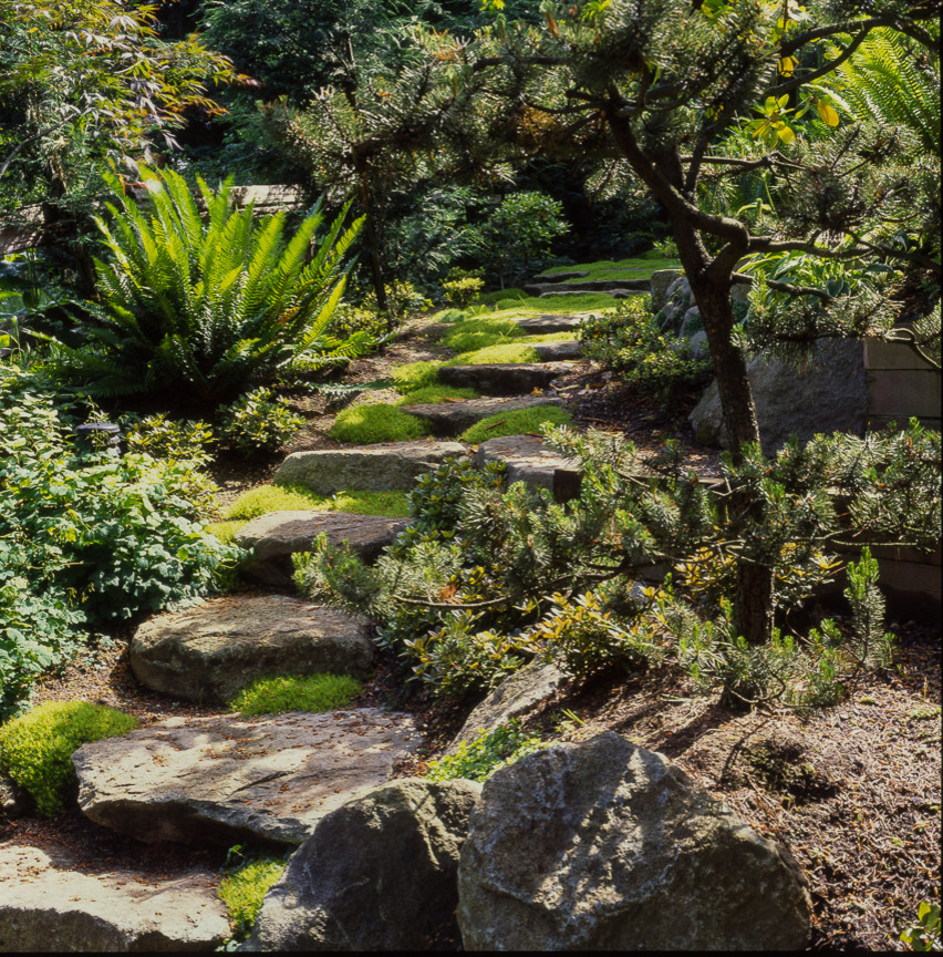 Foto di un giardino formale chic esposto a mezz'ombra dietro casa e di medie dimensioni con un ingresso o sentiero e pavimentazioni in pietra naturale