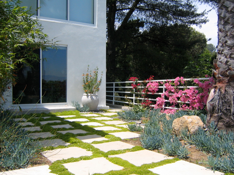 Exemple d'un jardin arrière moderne l'été.