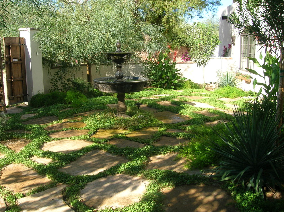 This is an example of a mediterranean garden in Phoenix.