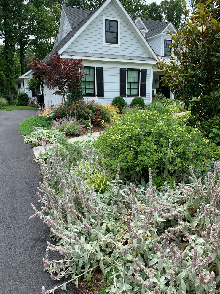 Immagine di un giardino country esposto a mezz'ombra di medie dimensioni e davanti casa in estate