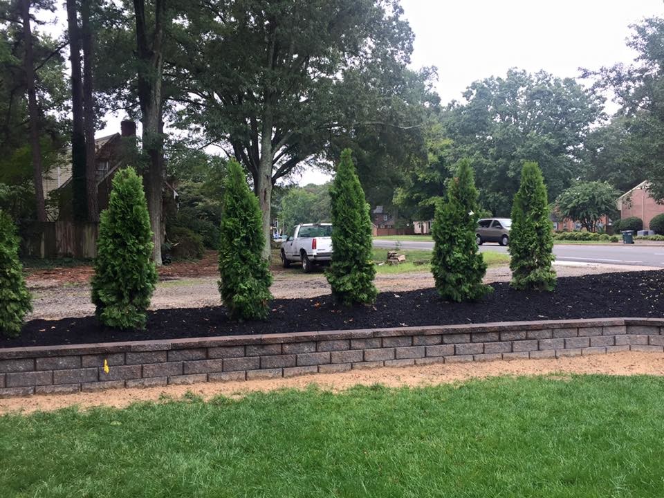 Landscaping & Landscaping Lighting Traditional Landscape Richmond by Advance Lawn