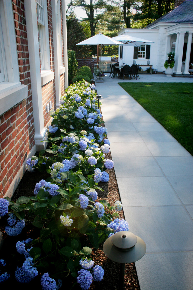 Photo of a medium sized traditional side formal partial sun garden for summer in New York with a garden path and concrete paving.