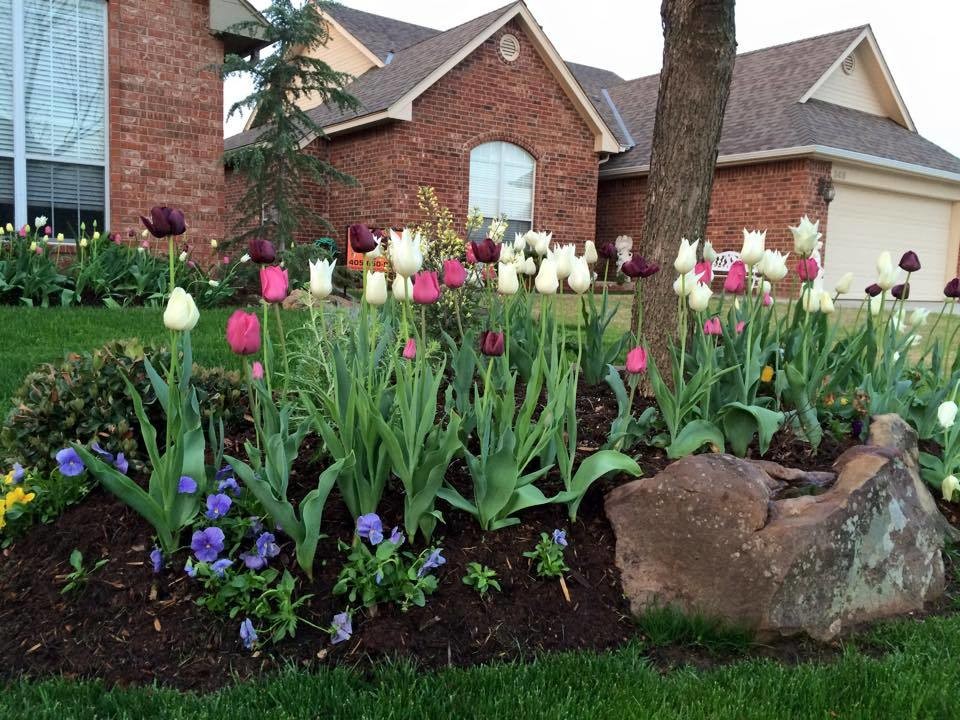 Inspiration for a traditional full sun front yard mulch landscaping in Oklahoma City.