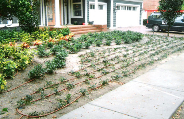 Exemple d'un jardin avant chic.