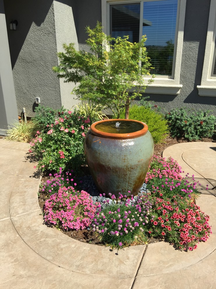 Immagine di un piccolo giardino formale contemporaneo esposto in pieno sole dietro casa con fontane