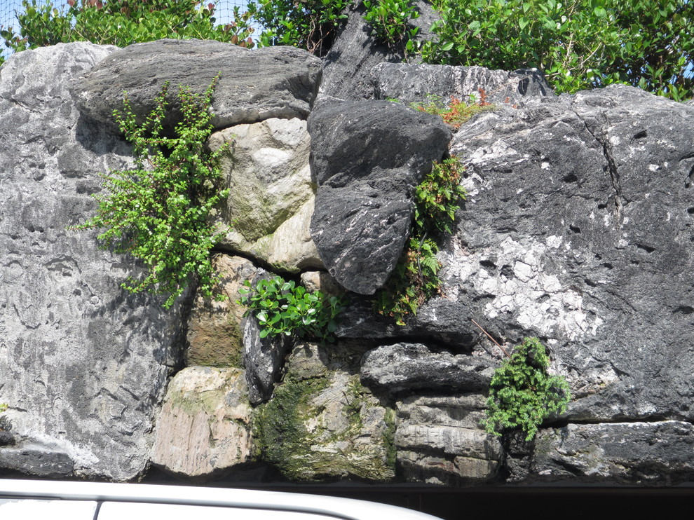 Modelo de acceso privado de estilo zen de tamaño medio en patio delantero con muro de contención y adoquines de piedra natural