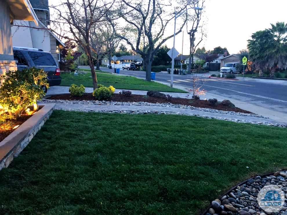 Outdoor Transformation Santa Clara Contemporary Landscape San