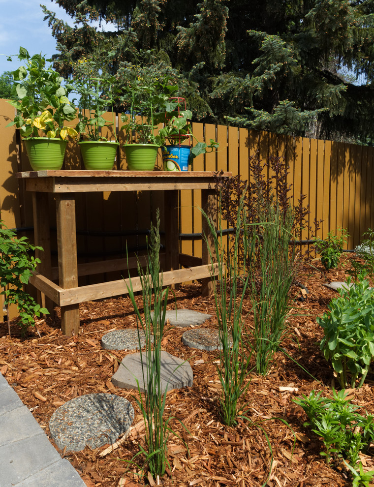 Стильный дизайн: участок и сад среднего размера на заднем дворе с мульчированием - последний тренд