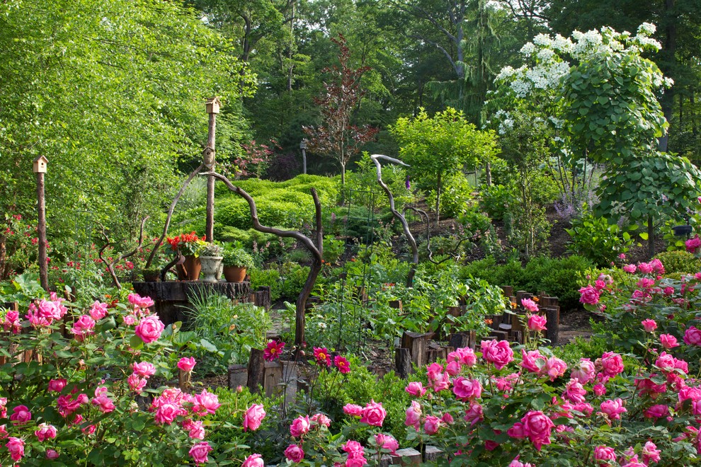 Idee per un giardino rustico