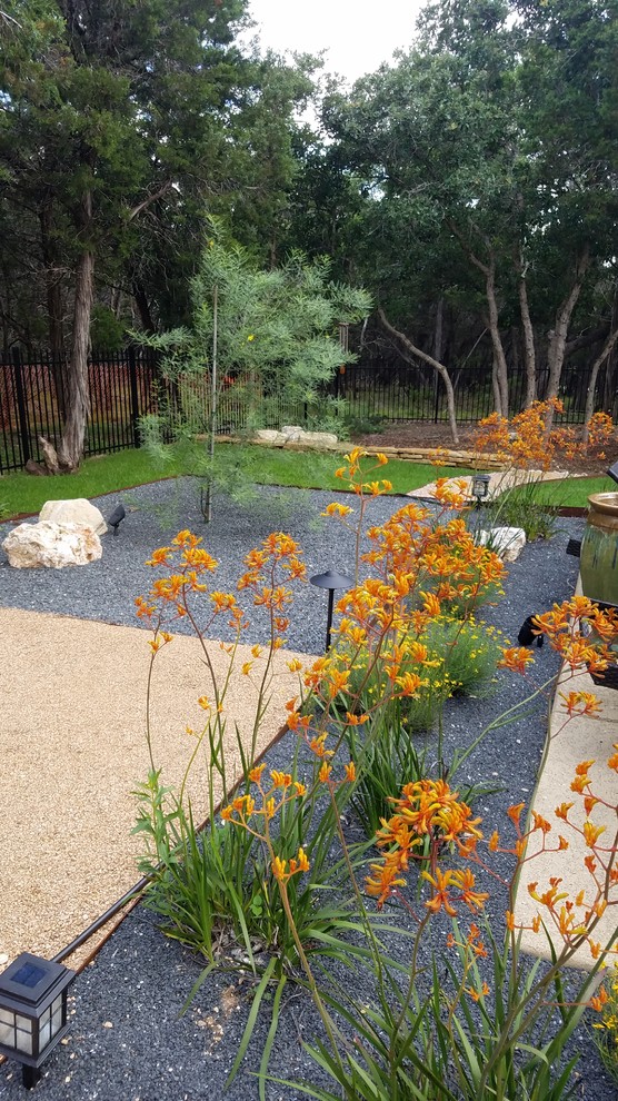 Exemple d'un grand jardin arrière tendance avec une exposition ensoleillée.