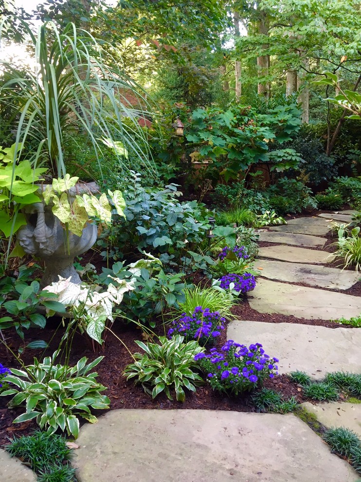 Mittelgroßer, Halbschattiger Eklektischer Gartenweg im Sommer, hinter dem Haus mit Natursteinplatten in Washington, D.C.