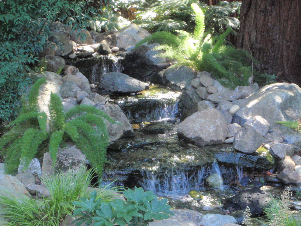 This is an example of a traditional garden in San Francisco with a water feature and mulch.