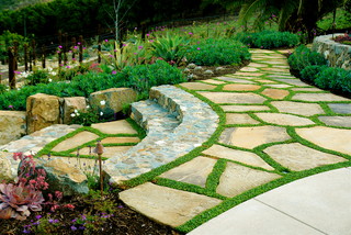 10 Hillside Landscaping Ideas That Will Improve Your Yard